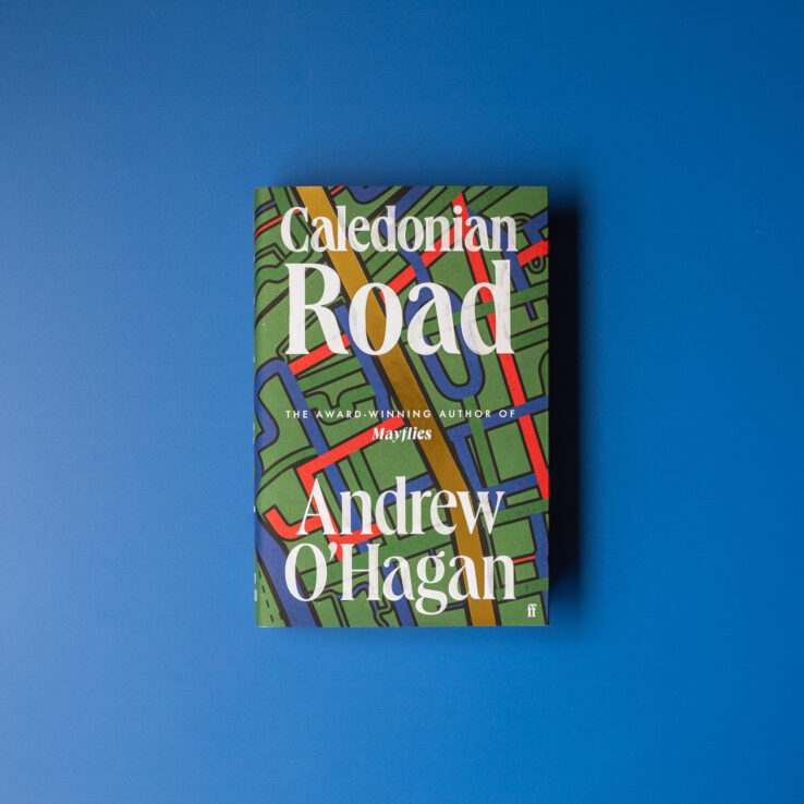 Caledonian Road by Andrew O'Hagan (hardcover) on a blue background) Caledonian Road by Andrew O'Hagan (hardcover) on a blue background)