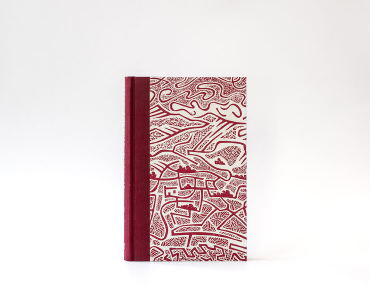 Seamus Heaney special edition on a white background Seamus Heaney special edition on a white background
